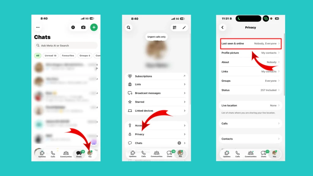 How to Hide Online Status on WhatsApp on iPhone